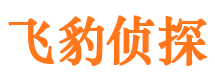 青龙侦探公司